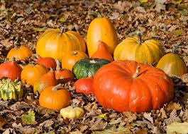 Today's Mystery Freebie