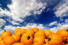 Today's Mystery Free Offer