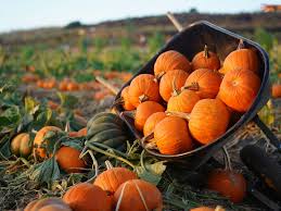 Today's Mystery Freebie