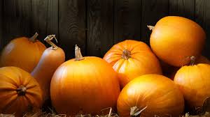 Today's Mystery Free Offer