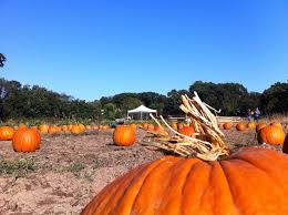 Today's Mystery Free Offer