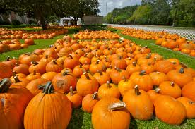 Today's Mystery Freebie